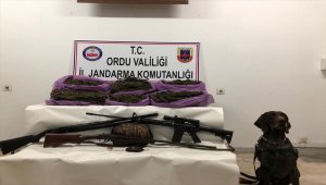 Ordu'da uyuşturucu operasyonu