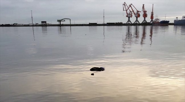 Samsun'da deniz kenarında erkek cesedi bulundu