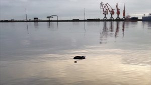 Samsun'da deniz kenarında erkek cesedi bulundu