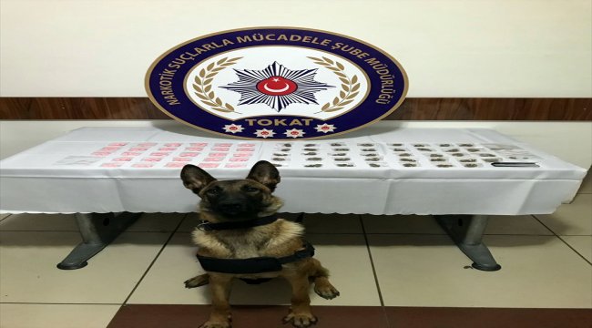 Tokat'ta uyuşturucu operasyonu
