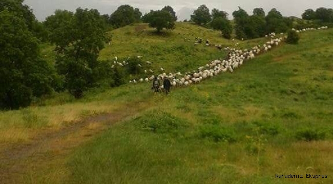Türkiye'de ithalat lobisi mi var?