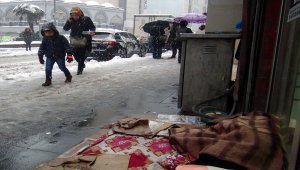 Üşüyen sokak köpeklerini sarıp sarmaladılar