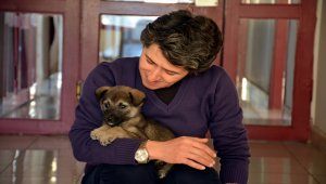 Üşüyen yavru köpek belediye binasına sığındı