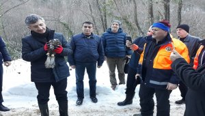 Vali Erdoğan Bektaş, Harmankaya Şelaleleri'ni gezdi