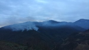 Artvin'de orman yangını