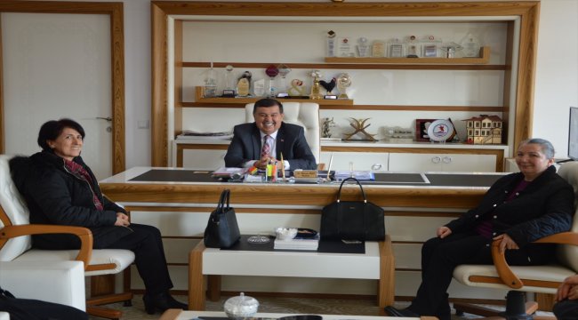 Hayvanseverlerden sokak hayvanları için yer talebi