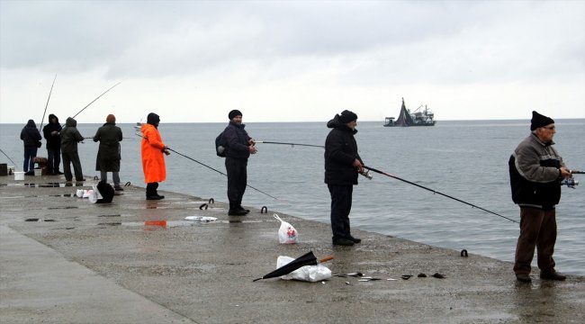 Hem balık tutuyor hem de deniz temizliği yapıyorlar