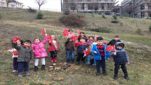 Karabük'te şehitler için fidan dikildi