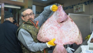Karadeniz'de avlanan kalkan 750 liraya satıldı