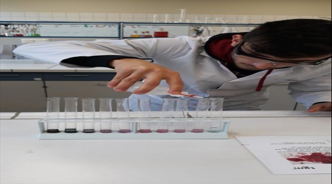 Liseliler Avrupa'da meslek öğreniyor