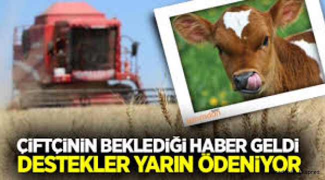 Mazot,gübre,yem bitkileri,hububat ve buzağı desteği bugün ödeniyor 