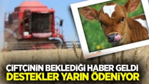 Mazot,gübre,yem bitkileri,hububat ve buzağı desteği bugün ödeniyor 