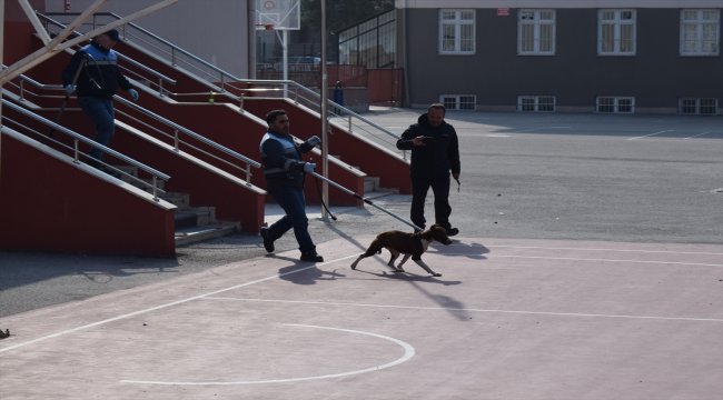 Okula giren pitbull öğrencilere saldırdı