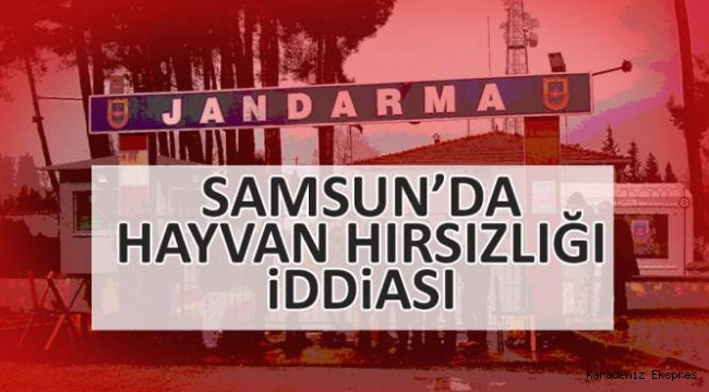 Samsun'da hayvan hırsızlığı iddiası