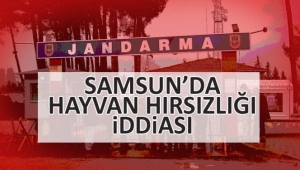 Samsun'da hayvan hırsızlığı iddiası