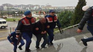 Samsun'daki hayvan hırsızlığı