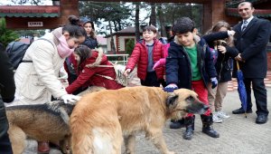Sevgilerini sokak köpeklerine mama alarak gösterdiler