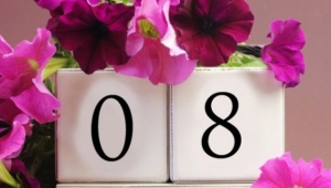 8 Mart Dünya Kadınlar Günü