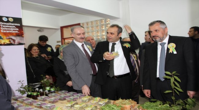 Bafra'da Orman Haftası etkinlikleri