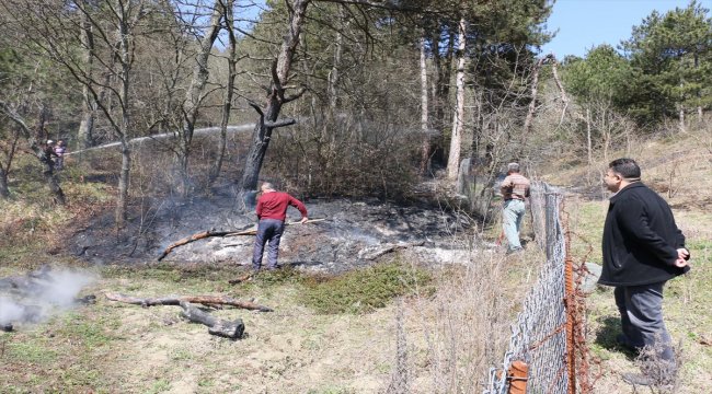 Bolu'da orman yangını