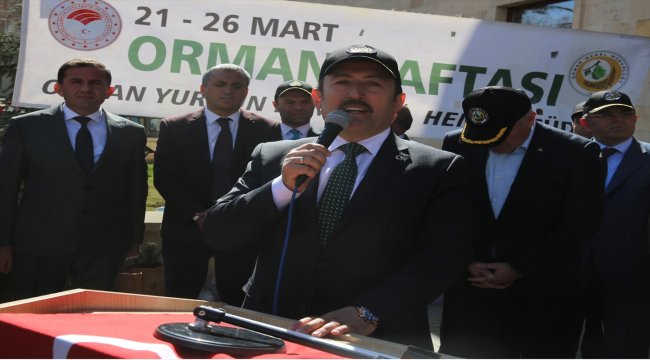 Dünya Ormancılık Günü ve Orman Haftası