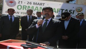 Dünya Ormancılık Günü ve Orman Haftası