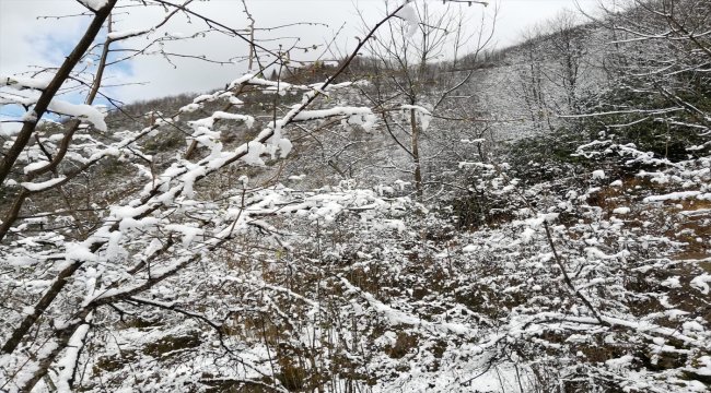 Fındık üreticisinde kar endişesi