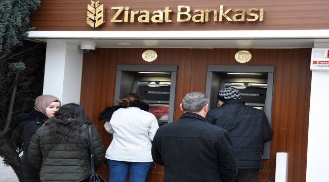 Fındıkta alan bazlı gelir desteği ödemesi başladı