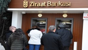 Fındıkta alan bazlı gelir desteği ödemesi başladı