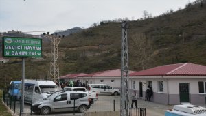 Görele'de Geçici Hayvan Bakım Evi hizmete girdi