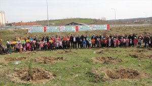 Havza'da Ormancılık Haftası etkinlikleri