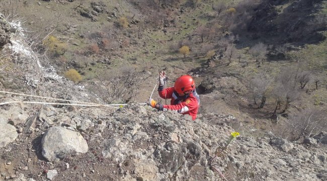 İtfaiyeden keçi kurtarma operasyonu