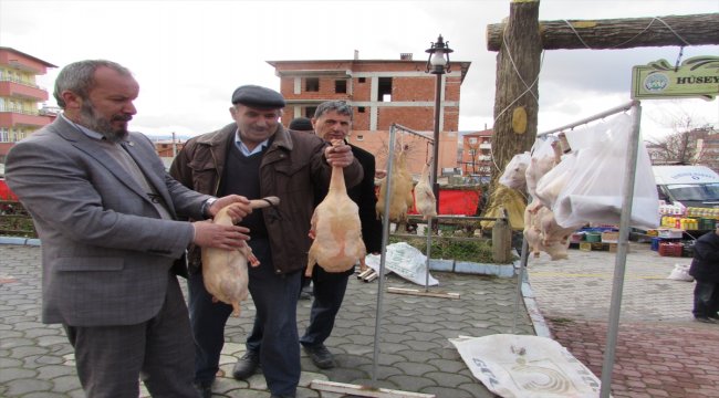 Kavak'ta tirit sezonu sona erdi