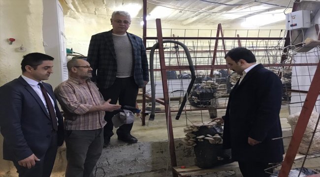 Koşal'dan mantar üretim tesisine ziyaret