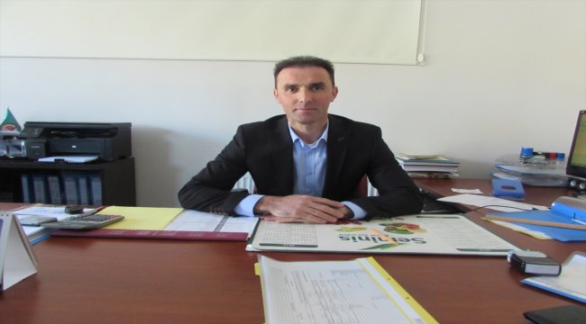 Ladik'te sertifikalı mısır ve ayçiçeği tohumu dağıtımı