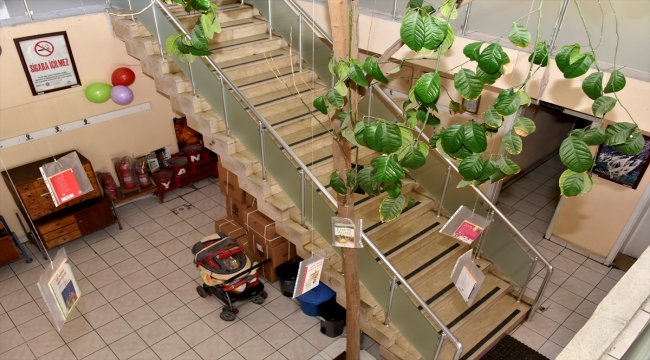 Limon ağacının dalları kitap 