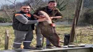 Oltayla 40 kilogramlık yayın balığı tuttu