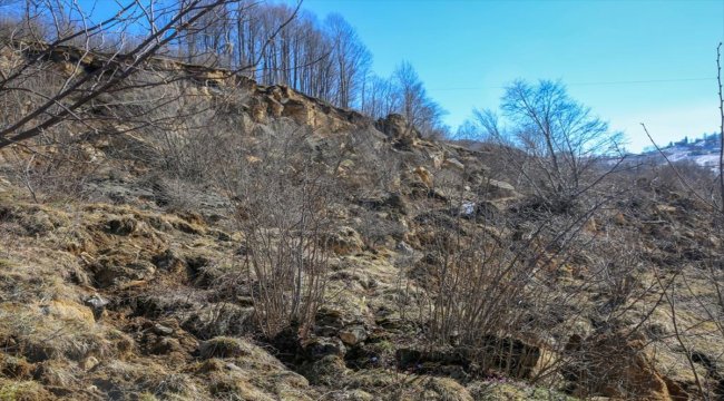 Ordu'da heyelan afetzedeleri için yeni konut yapılacak
