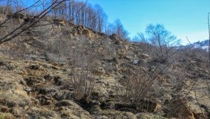 Ordu'da heyelan afetzedeleri için yeni konut yapılacak