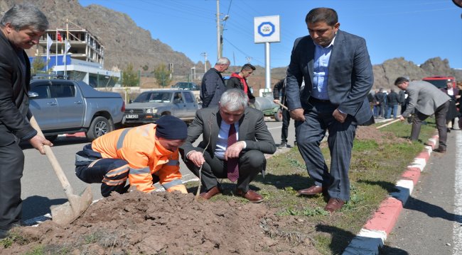 Şebinkarahisar'da 300 fidan toprakla buluşturuldu