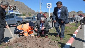 Şebinkarahisar'da 300 fidan toprakla buluşturuldu