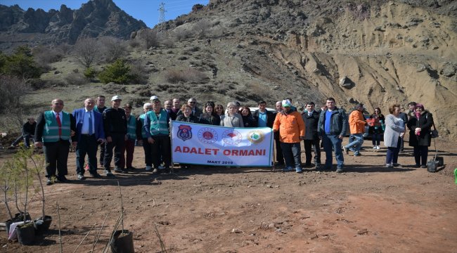Şebinkarahisar'da 