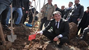 Şebinkarahisar'da karadut üretimi geliştiriliyor