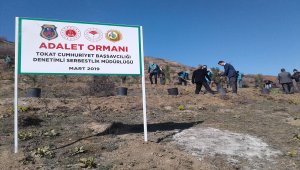 Tokat'ta fidan dikim töreni