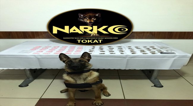Tokat'ta 