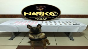Tokat'ta 