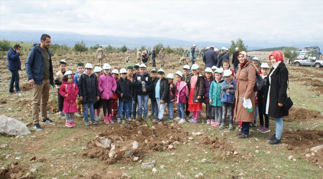 Vezirköprü'de Adalet Ormanı'na 500 fidan dikildi