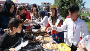 Vezirköprü'de Nevruz Bayramı kutlandı