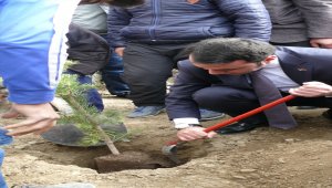Yeşilyurt'ta fidan dikimi
