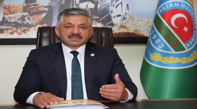 Zirai don fındıkta zarara yol açmadı